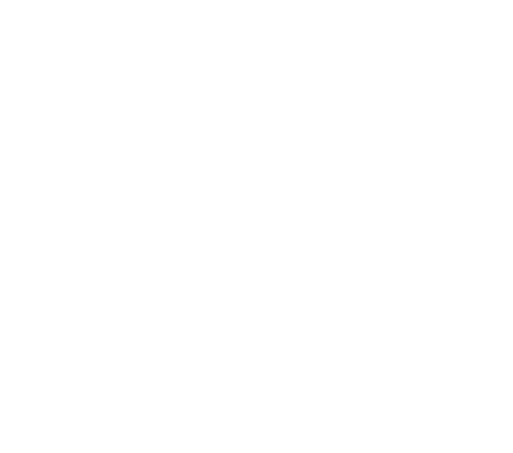 Logo Anara Bình Tiên